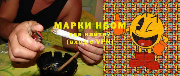 мдпв Карпинск