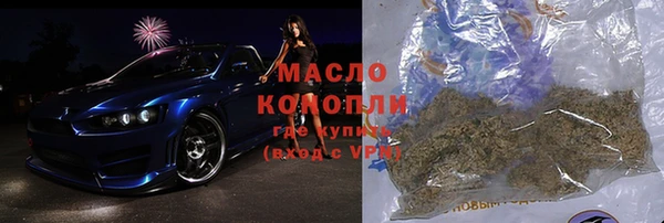 мдпв Карпинск