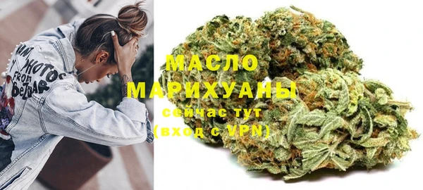 мдпв Карпинск