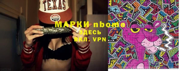 мдпв Карпинск