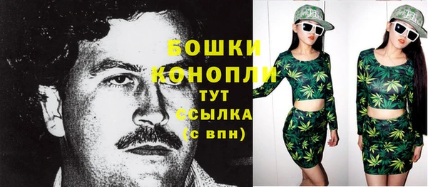 мдпв Карпинск