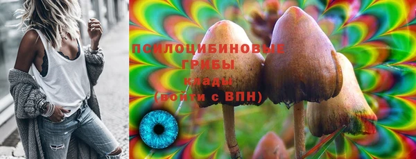 PSILOCYBIN Касимов