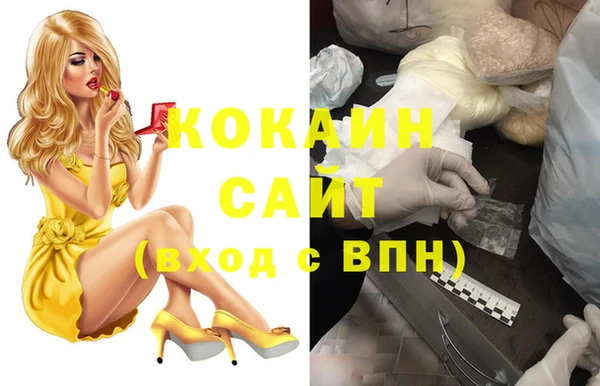 мдпв Карпинск
