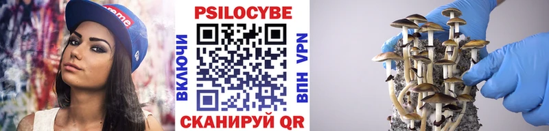 Псилоцибиновые грибы Magic Shrooms  МЕГА онион  Игра  продажа наркотиков 